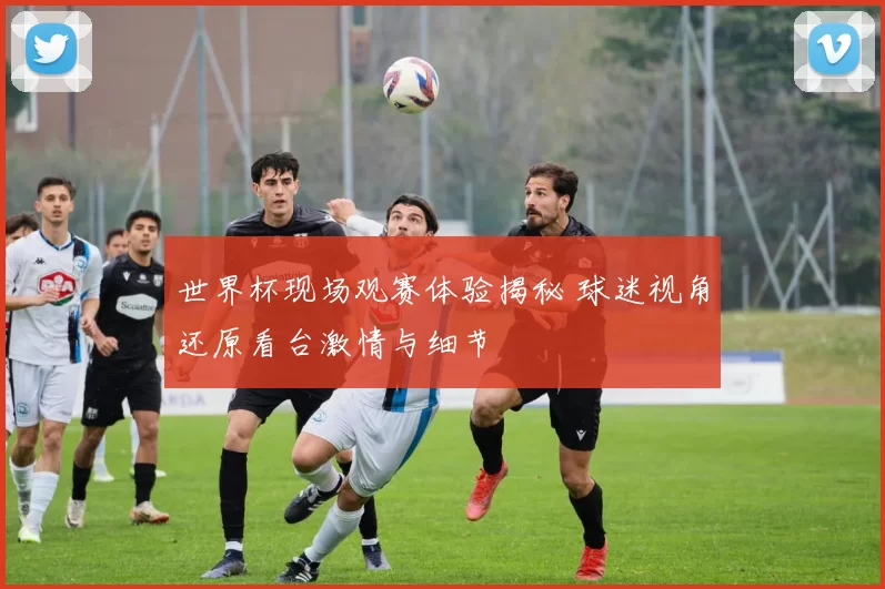 世界杯现场观赛体验揭秘 球迷视角还原看台激情与细节