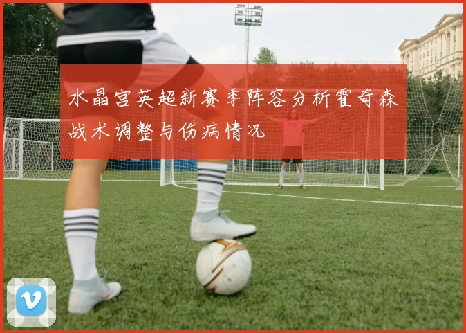 水晶宫英超新赛季阵容分析霍奇森战术调整与伤病情况