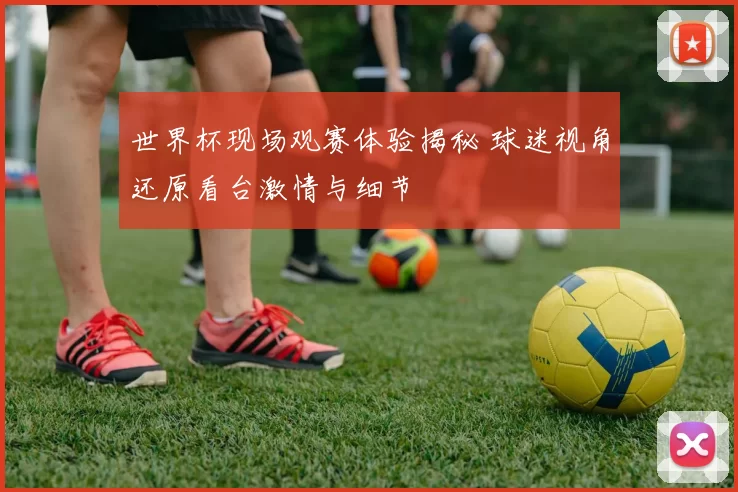 世界杯现场观赛体验揭秘 球迷视角还原看台激情与细节
