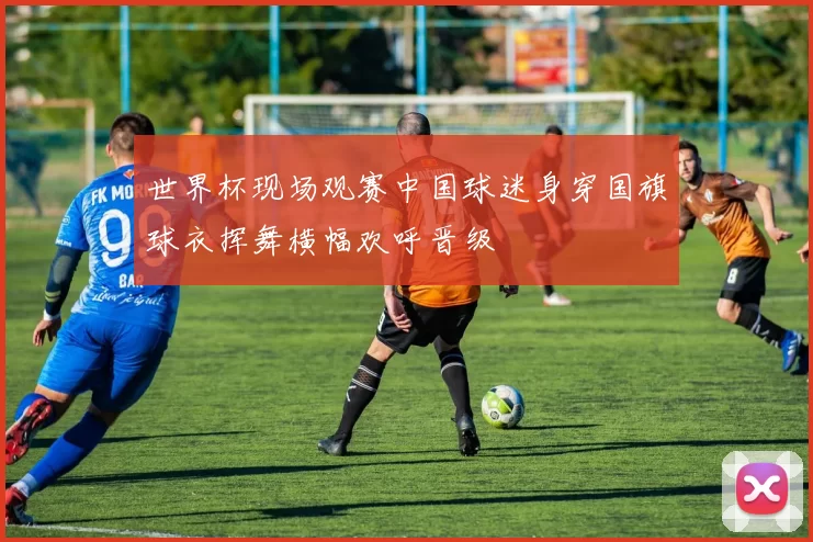 世界杯现场观赛中国球迷身穿国旗球衣挥舞横幅欢呼晋级